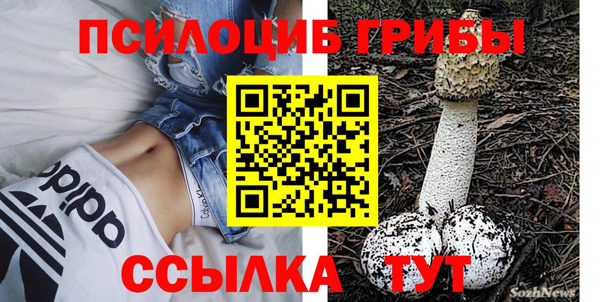 Псилоцибиновые грибы Psilocybe  Вход с VPN  Тавда 